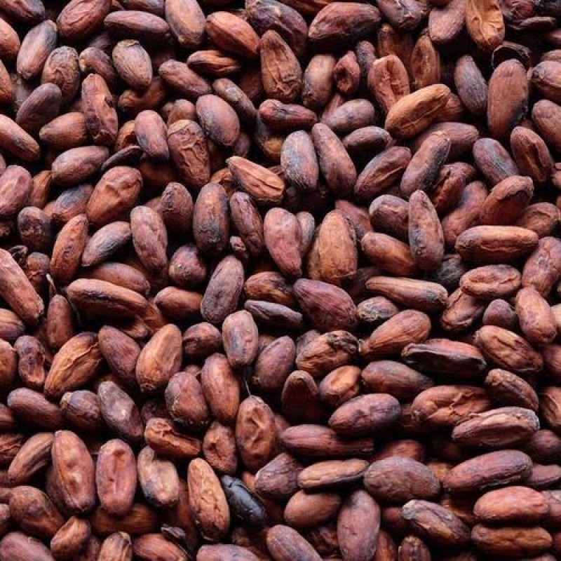 COCOA BEANS from Nigeria